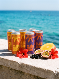 Pack de 12 canettes Béguin, les deux saveurs réunies