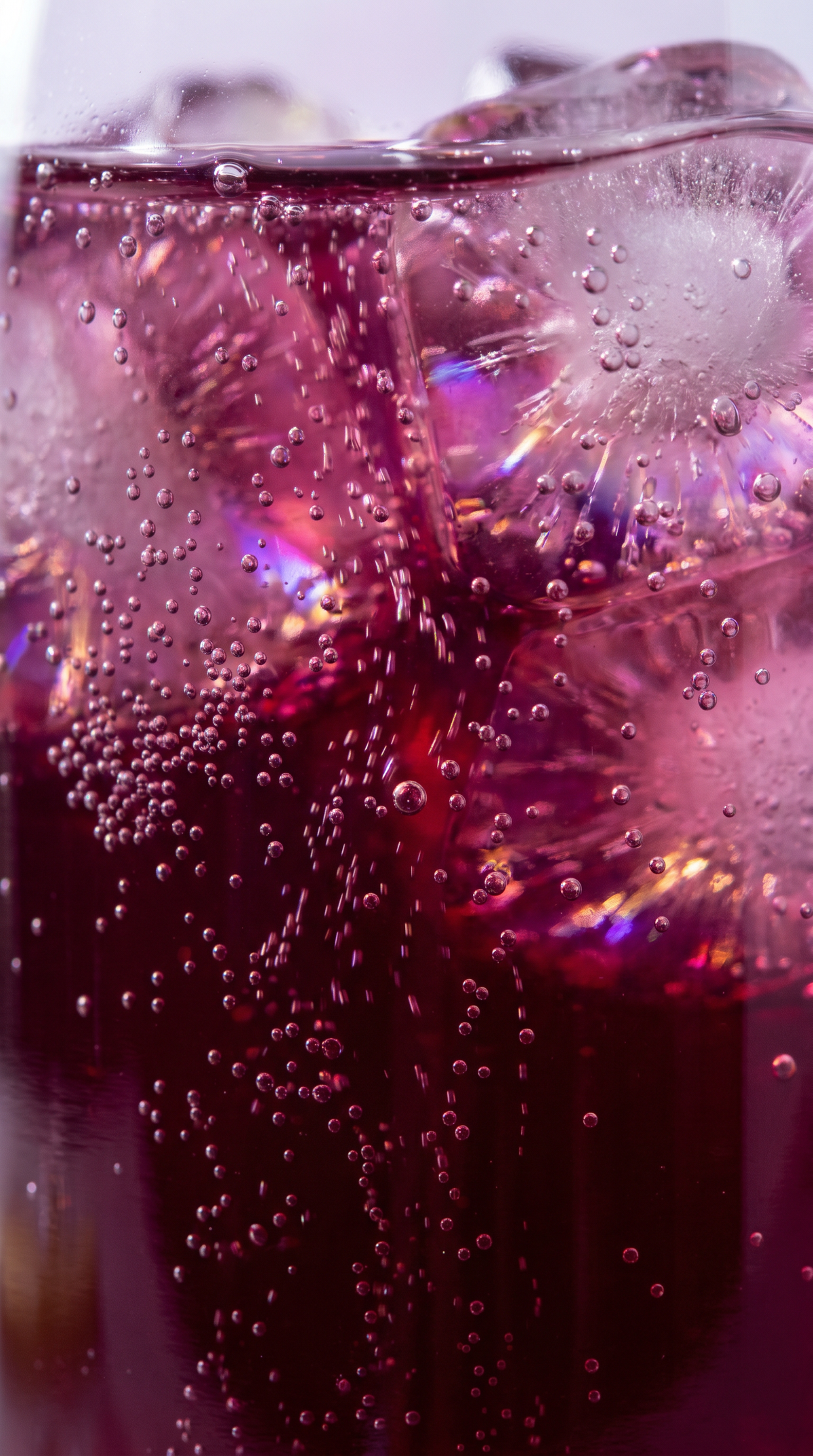 Macro sur les bulles fines du hard kombucha Cassis Hibiscus